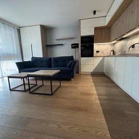 Blue Premium Apartment Niska, Centrum, Garaz Podziemny, Galeria Kielce Exterior photo